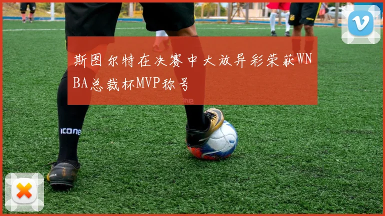 斯图尔特在决赛中大放异彩荣获WNBA总裁杯MVP称号